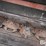 new-holland-616-image-19
