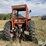 1969-massey-ferguson-180-image-6
