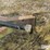 parker-7000-image-9