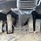 doosan-dl250-5-image-38