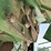 john-deere-4425-image-41