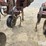 case-ih-183-image-19