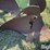 john-deere-f145-image-14