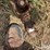 bush-hog-sq72r-3-image-9