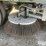 2015-elgin-broom-bear-image-13