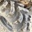 2005-polaris-sportsman-500-ho-image-20