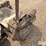 grasshopper-614-image-12