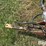 hesston-1014-image-12