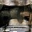 2015-bobcat-t550-image-29
