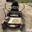 grasshopper-614-image-2