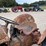 ford-8n-image-16