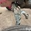 1963-massey-ferguson-65-image-15