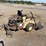 grasshopper-725-image-3