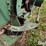 john-deere-36-image-15