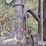 john-deere-2-image-20