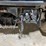 kubota-rtv-x1100c-image-9