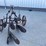horse-drawn-2-bottom-oliver-plow-image-2