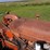 1953-allis-chalmers-wd45-image-14