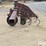 case-ih-183-image-8