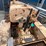 caterpillar-22-image-8