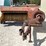 new-holland-275-image-8