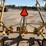 vemeer-wr22-wheel-rake-image-7