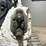 2015-bobcat-t770-image-12
