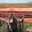 case-ih-6200-image-15