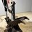 bobcat-331g-image-11