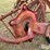 massey-ferguson-86-image-11