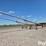 peck-1004-image-5