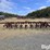 case-ih-183-image-6