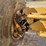 2011-deere-772gp-image-12