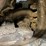 2016-bobcat-t870-image-16
