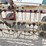 international-14-image-12