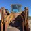 clark-125-wheel-loader-image-18