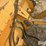 2000-deere-344h-image-19