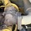 caterpillar-247b3-image-33