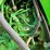 2019-john-deere-r4045-image-69