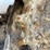 2017-bobcat-t550-image-31