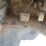 2007-ic-bus-pb105-school-bus-image-27