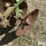 john-deere-h1110-image-16