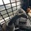 2023-bobcat-t770-image-27