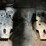 2023-bobcat-t66-image-65