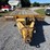 2005-eager-beaver-20xpt-image-2