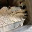 2022-bobcat-t64-image-15