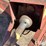 hesston-bp20-image-13