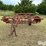 massey-ferguson-86-image-2