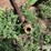 john-deere-7-image-9