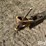 john-deere-h1110-image-9
